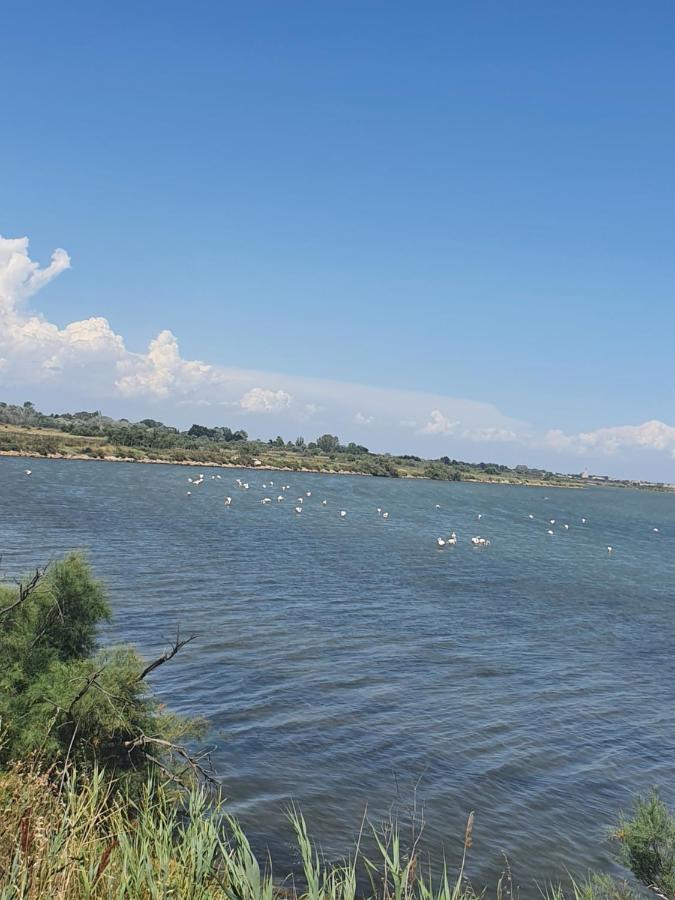Vacances En Camargue Le Grau-du-Roi Ngoại thất bức ảnh